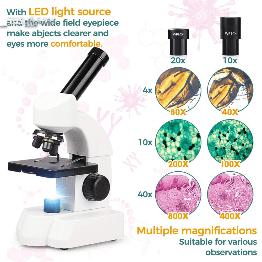 Microscope Kit for Kids - 40X-750X,Compound Biological - Educational Microscope with Smartphone Adapter Slides Set - The Toy Base