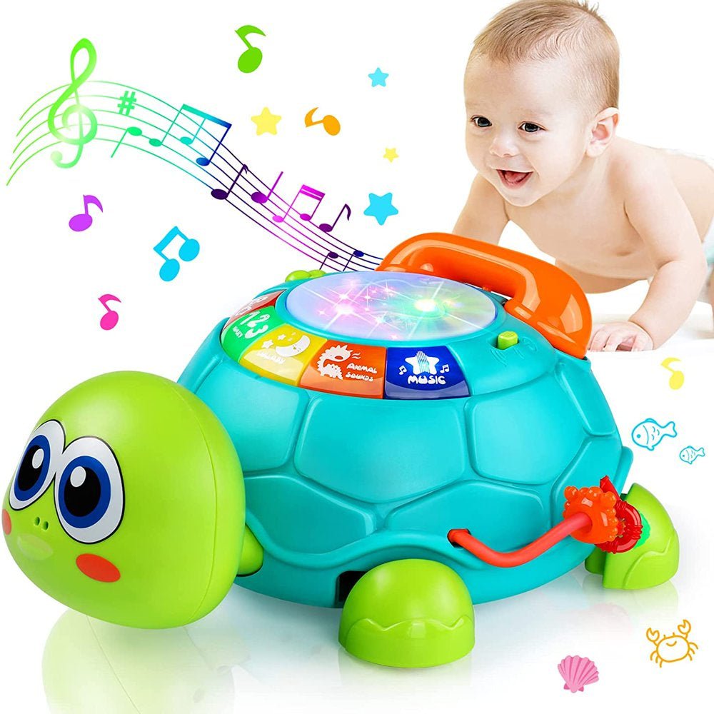 Musical Turtle - with Letters Numbers Phone Educational Learning Toys - The Toy Base