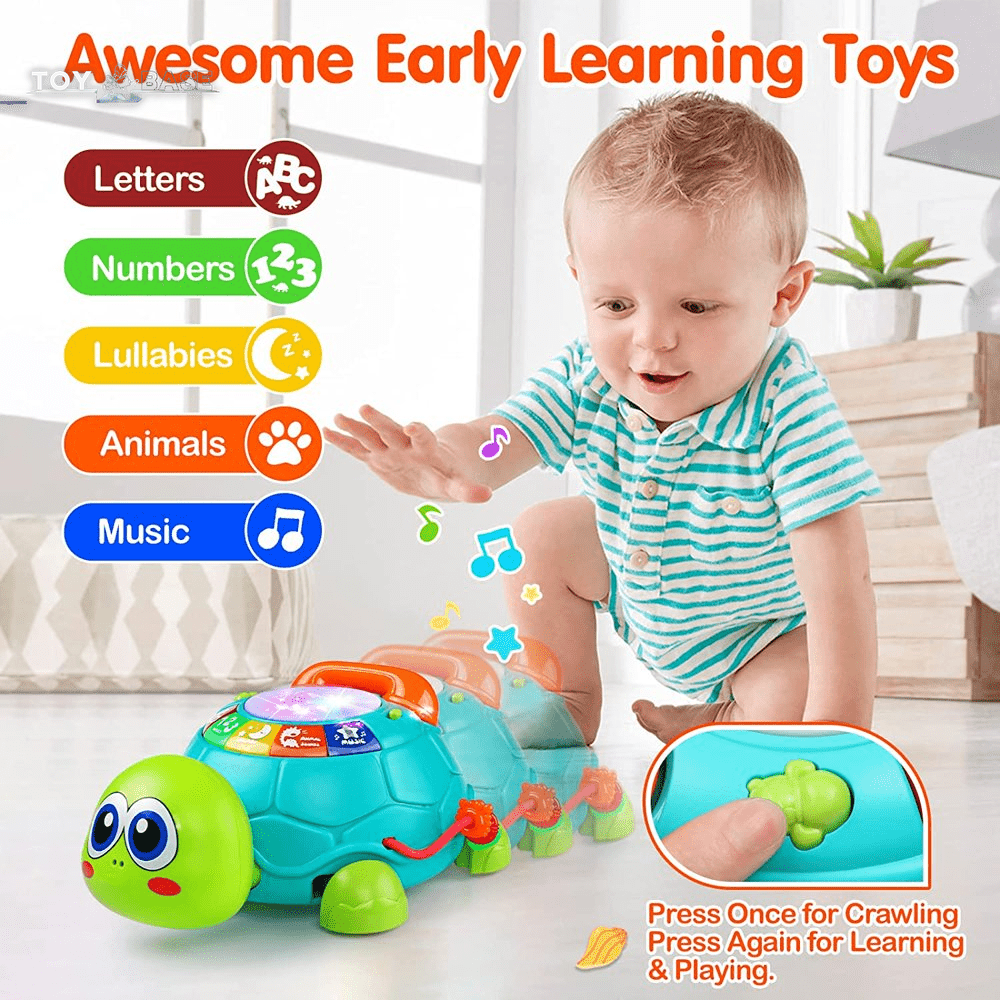 Musical Turtle - with Letters Numbers Phone Educational Learning Toys - The Toy Base