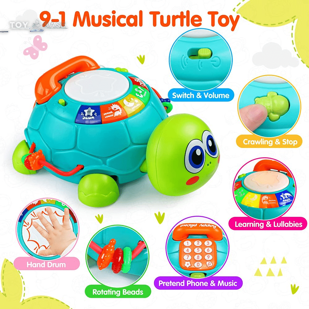 Musical Turtle - with Letters Numbers Phone Educational Learning Toys - The Toy Base