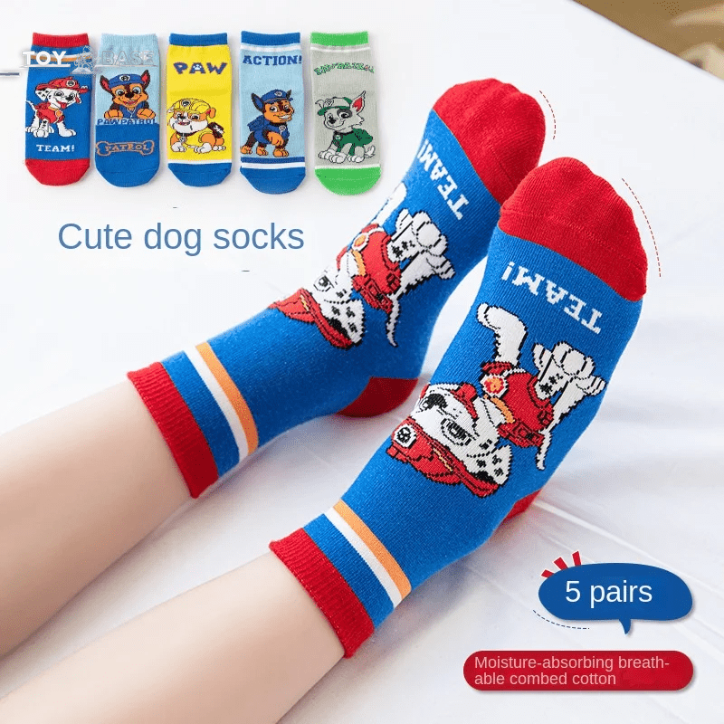 Paw Patrol Socks (5 pack) - The Toy Base