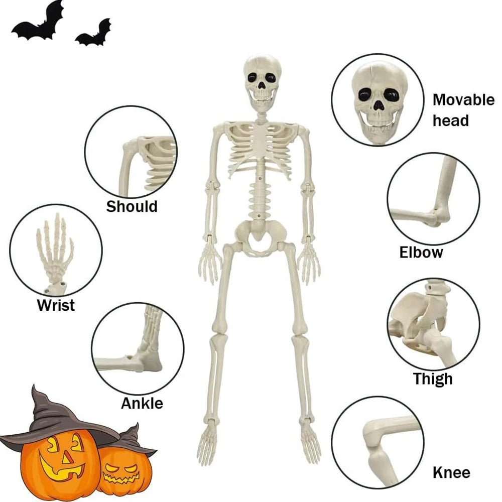 Posable Halloween Human Skeleton – Creepy Decorations for Haunted Houses and Parties - Toybase