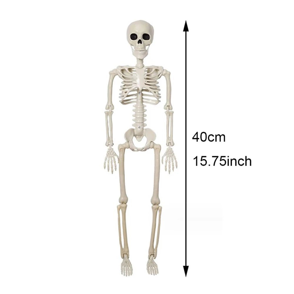 Posable Halloween Human Skeleton – Creepy Decorations for Haunted Houses and Parties - Toybase