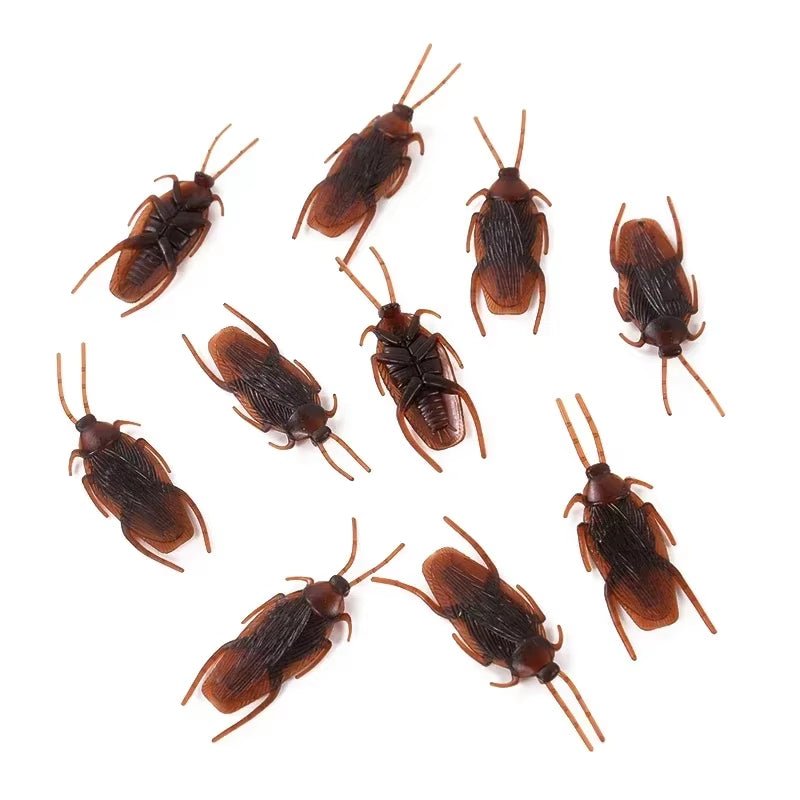 Realistic Fake Cockroach Insects – Novelty Trick Props for Halloween Party Decor & Pranks - Toybase